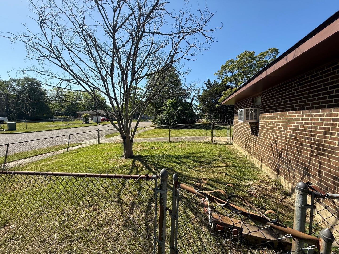 Backyard with bare tree and chain-link fence